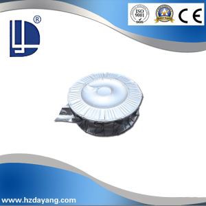 Low Price Welded Wire /AWS ER316LT-1 Flux Cored Welding Wire