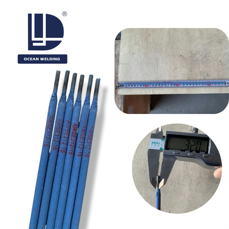 Stainless Steel Electrodes