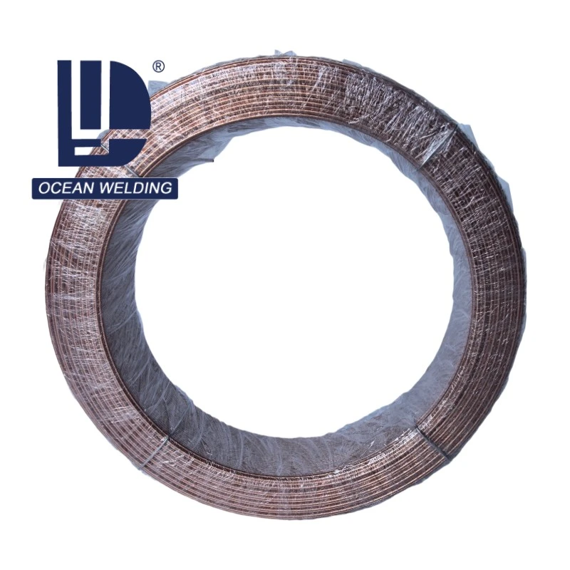 ER80S-B2 MIG TIG Welding Wire factory