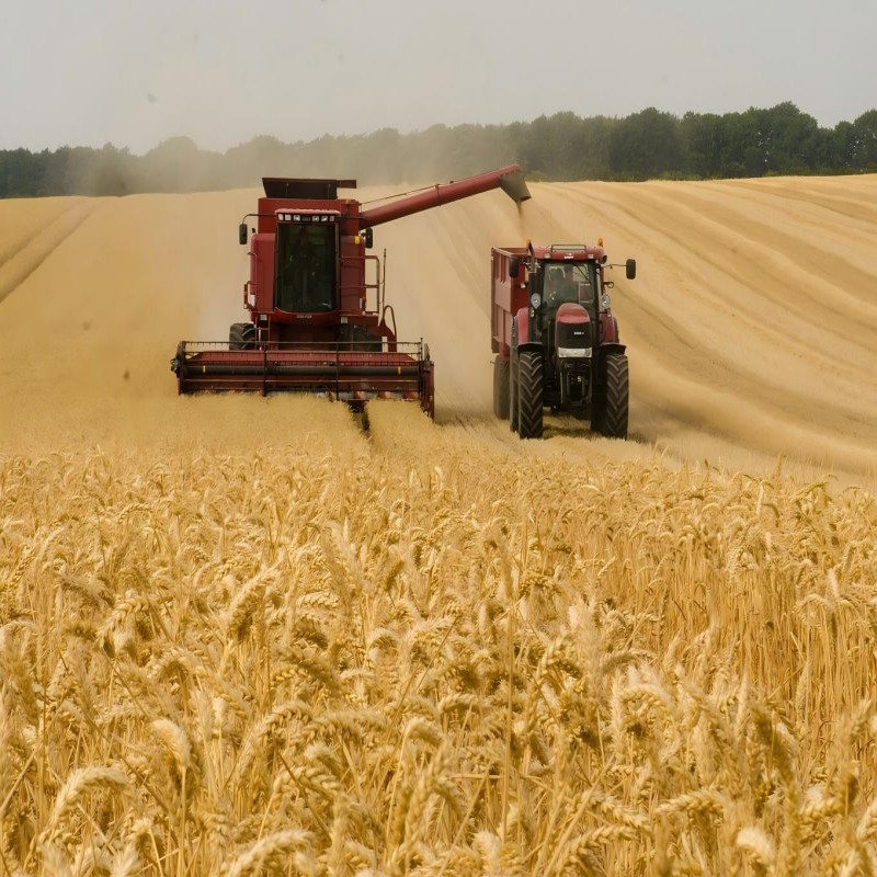 harvester harvester